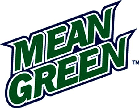 North Texas Mean Green 2003-2004 Wordmark Logo diy DTF decal sticker